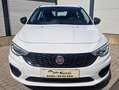Fiat Tipo 1,4 95 Pop / Sehr gepflegt, Neues Pickerl ! Weiß - thumbnail 2
