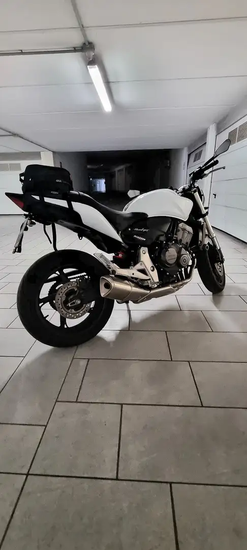 Honda Hornet White - 2
