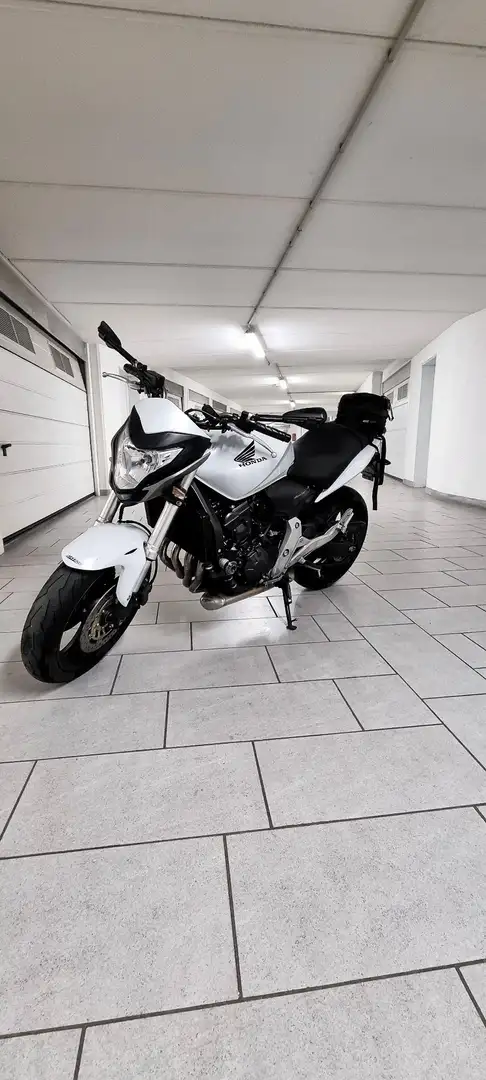 Honda Hornet White - 1