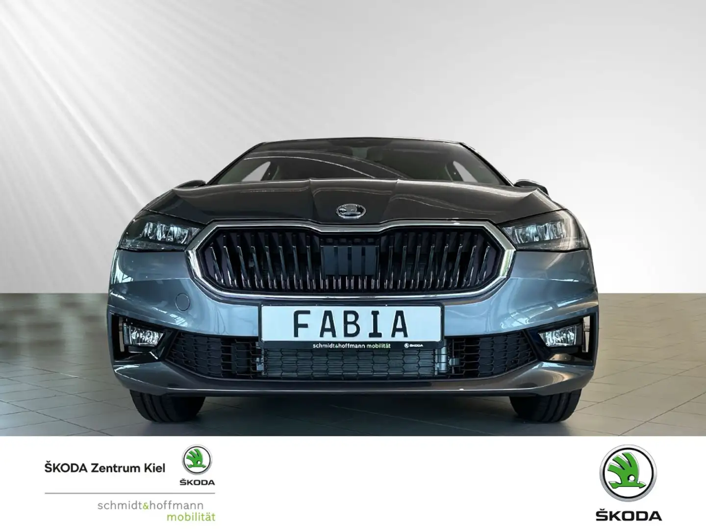 Skoda Fabia Selection 1,0 TSI 70 kW Klima Einparkhilfe Grau - 2