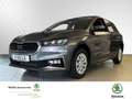 Skoda Fabia Selection 1,0 TSI 70 kW Klima Einparkhilfe Grau - thumbnail 1