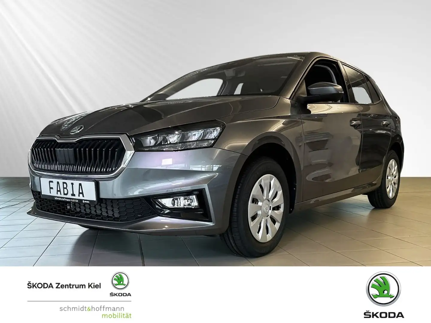Skoda Fabia Selection 1,0 TSI 70 kW Klima Einparkhilfe Grau - 1