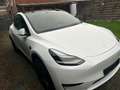 Tesla Model Y Model Y lang range bj2025 km10000 full option Blanc - thumbnail 4