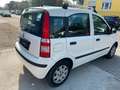 Fiat Panda 1.2 8V Dynamic*Klimaanlage* Weiß - thumbnail 5
