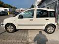 Fiat Panda 1.2 8V Dynamic*Klimaanlage* Weiß - thumbnail 8