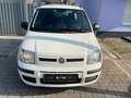 Fiat Panda 1.2 8V Dynamic*Klimaanlage* Weiß - thumbnail 3