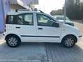 Fiat Panda 1.2 8V Dynamic*Klimaanlage* Weiß - thumbnail 7