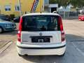 Fiat Panda 1.2 8V Dynamic*Klimaanlage* Weiß - thumbnail 4