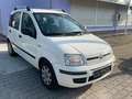 Fiat Panda 1.2 8V Dynamic*Klimaanlage* Weiß - thumbnail 2