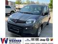 Fiat Panda Base 1.0 Mild Hybrid EU6d MY22 GSE Gris - thumbnail 1