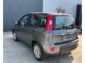 Fiat Panda Base 1.0 Mild Hybrid EU6d MY22 GSE Gris - thumbnail 4