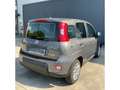 Fiat Panda Base 1.0 Mild Hybrid EU6d MY22 GSE Gris - thumbnail 3