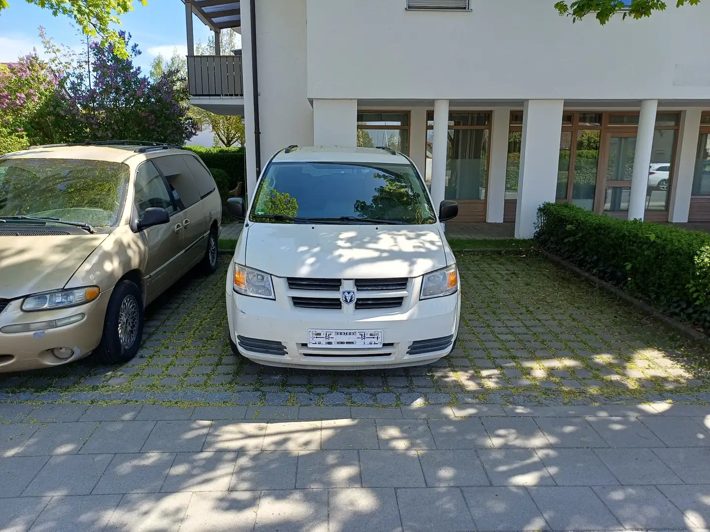 Dodge Grand Caravan Weiß - 2