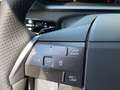 Opel Grandland 1.2 MHEV GS Aut. + AHV + Komfort Paket GS Zilver - thumbnail 17
