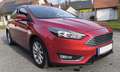 Ford Focus Ford Focus Titanium 1.5 TDCi 120PS |AHK|Kamera|8x Alu|Sitz-/Lenkradheizung Rot - thumbnail 4