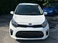 Kia Picanto Picanto 1,0 MPI Caritas Caritas Weiß - thumbnail 1