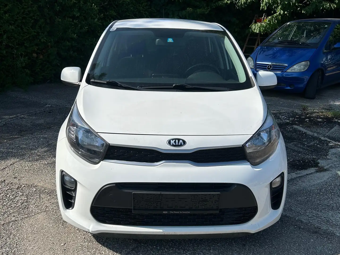 Kia Picanto Picanto 1,0 MPI Caritas Caritas Weiß - 1