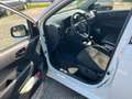 Kia Picanto Picanto 1,0 MPI Caritas Caritas Weiß - thumbnail 4