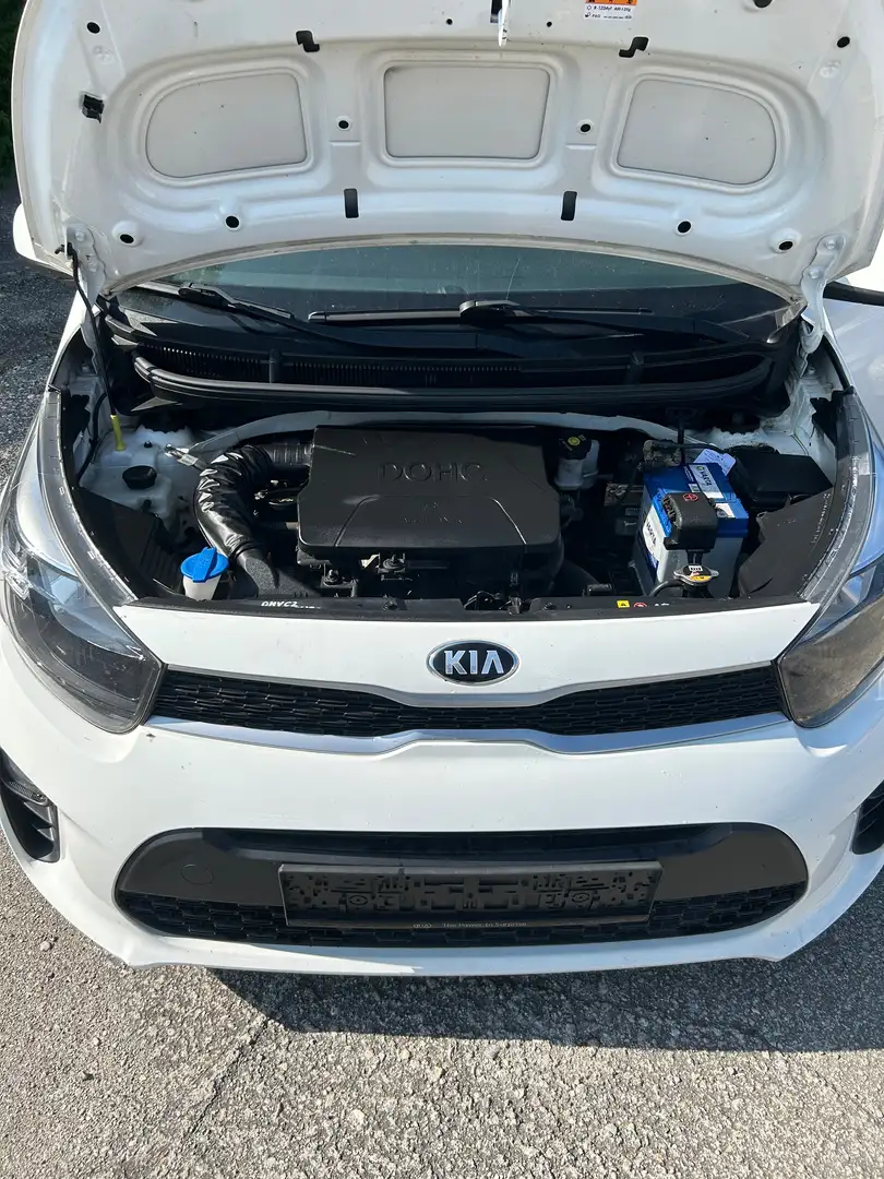 Kia Picanto Picanto 1,0 MPI Caritas Caritas Weiß - 2