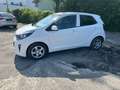 Kia Picanto Picanto 1,0 MPI Caritas Caritas Weiß - thumbnail 3