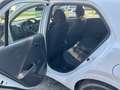 Kia Picanto Picanto 1,0 MPI Caritas Caritas Weiß - thumbnail 5