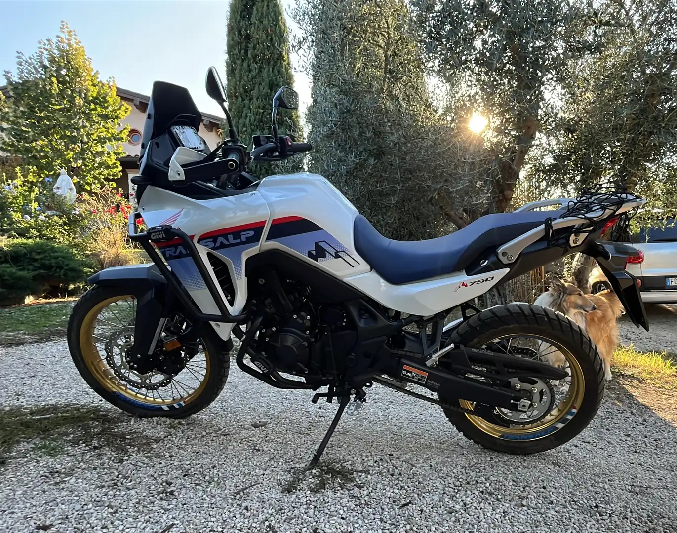 Honda Transalp Белый - 1