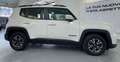 Jeep Renegade Renegade 1.0 t3 Business 2wd Wit - thumbnail 8