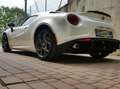 Alfa Romeo 4C 4C Coupe Coupe 1750 tbi 240cv tct Bianco - thumbnail 7