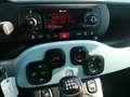 Fiat Panda FireFly Hybrid 70 Launch Edition Grün - thumbnail 2
