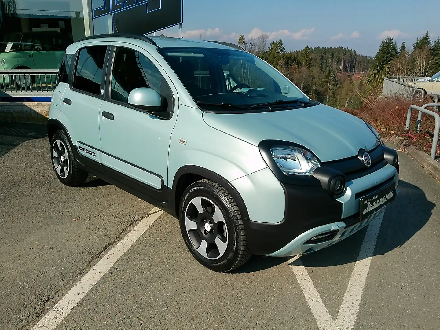 Fiat Panda FireFly Hybrid 70 Launch Edition Grün - 1