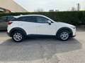 Mazda CX-3 1.5L Skyactiv-D Evolve Bianco - thumbnail 4
