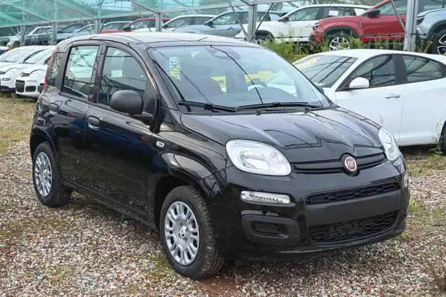 Fiat Panda view 2