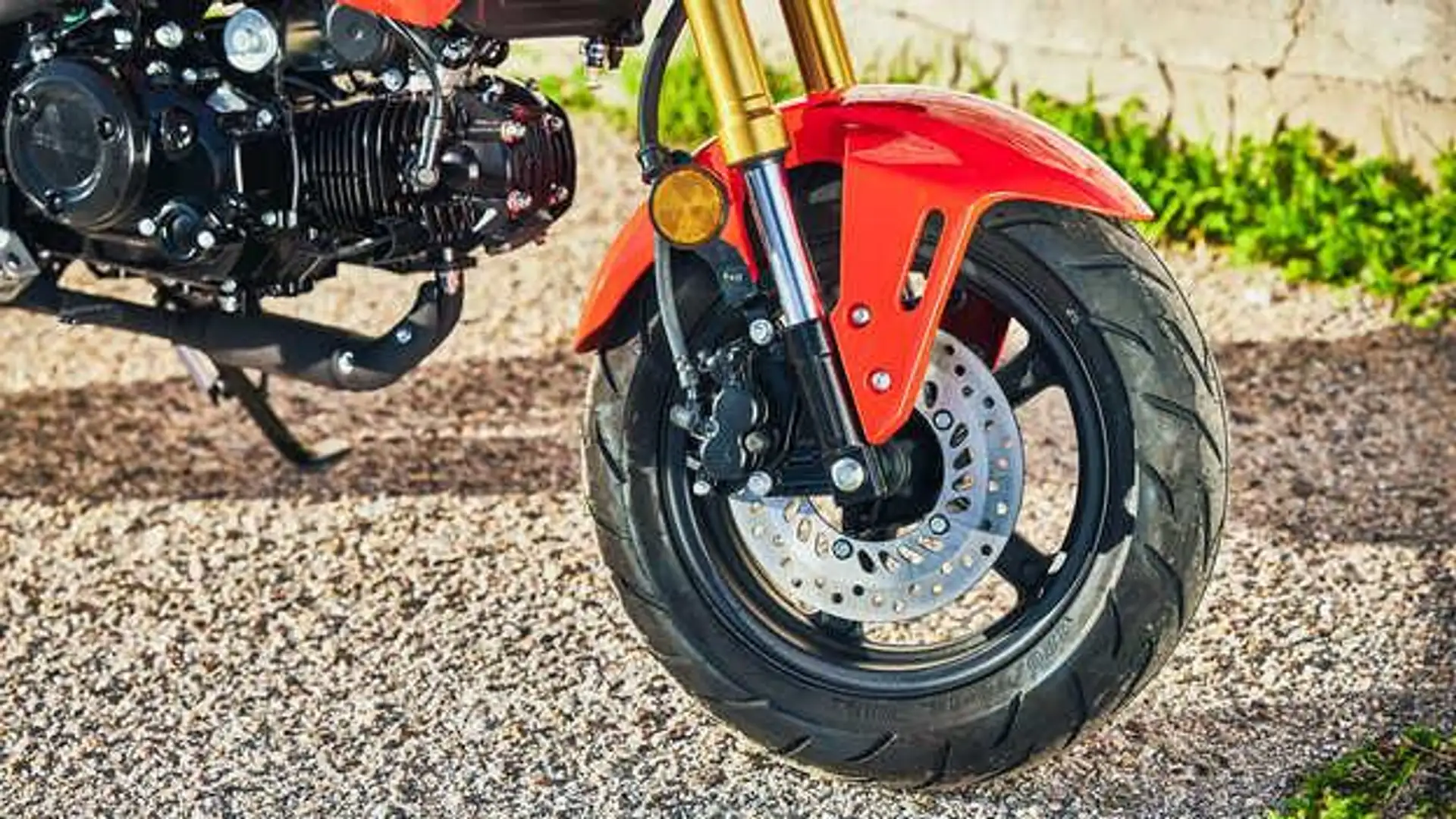 Honda MSX 125 Grom my25 Blu/Azzurro - 2