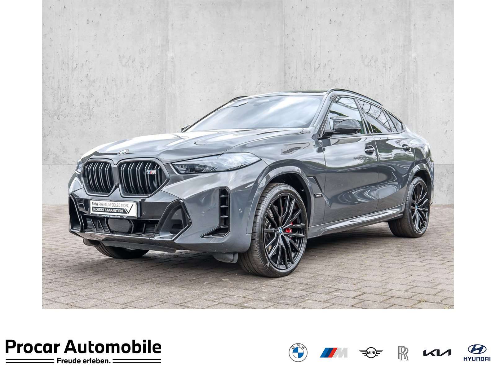 2025 BMW X6