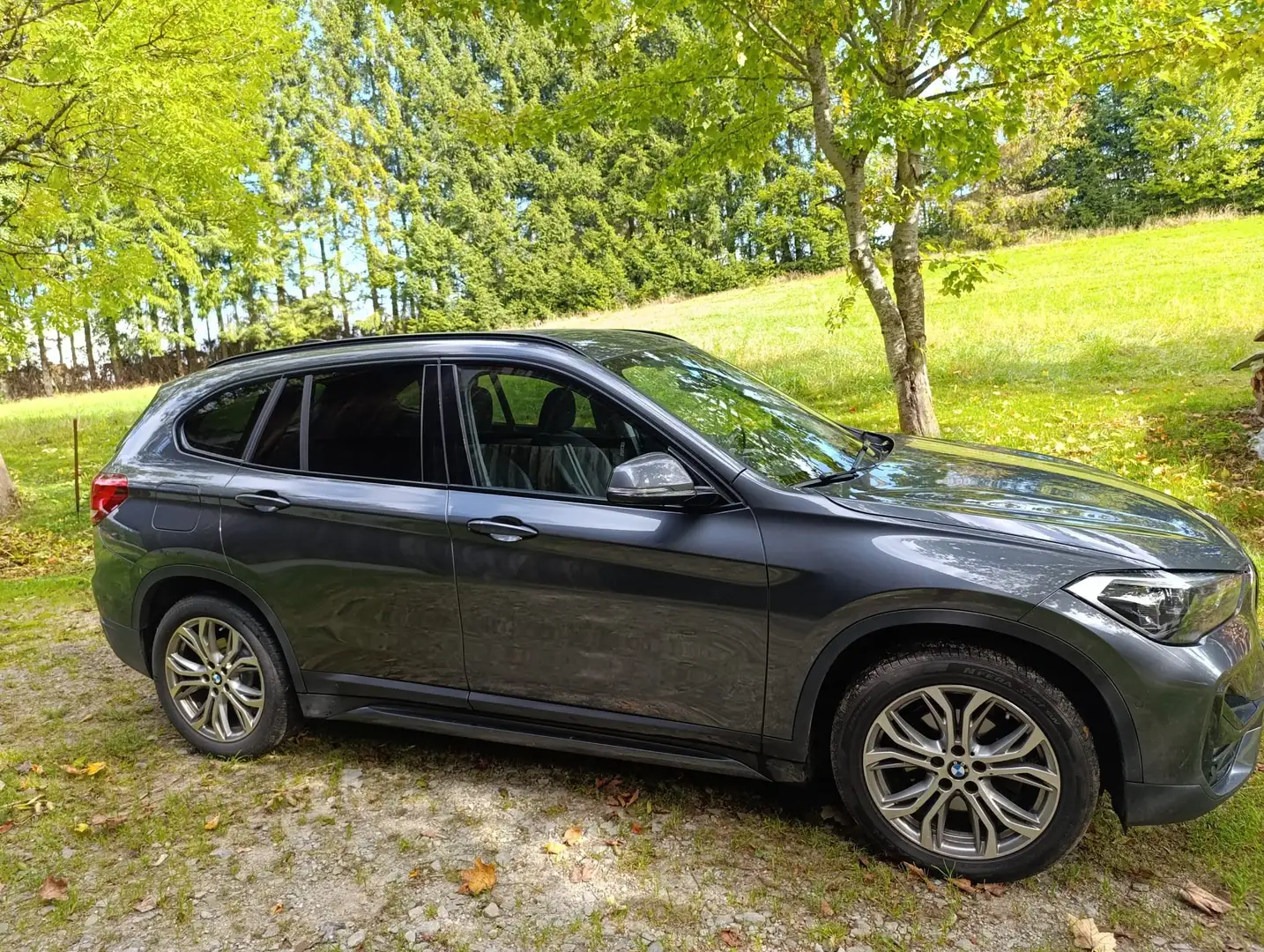 BMW X1 X1 sDrive18d Sport Line Grau - 1