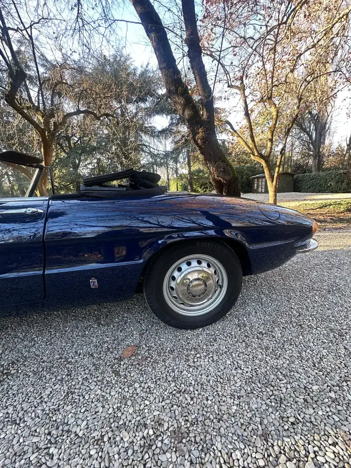 Alfa Romeo Spider 1300 Junior “osso Di Seppia”, foto 4