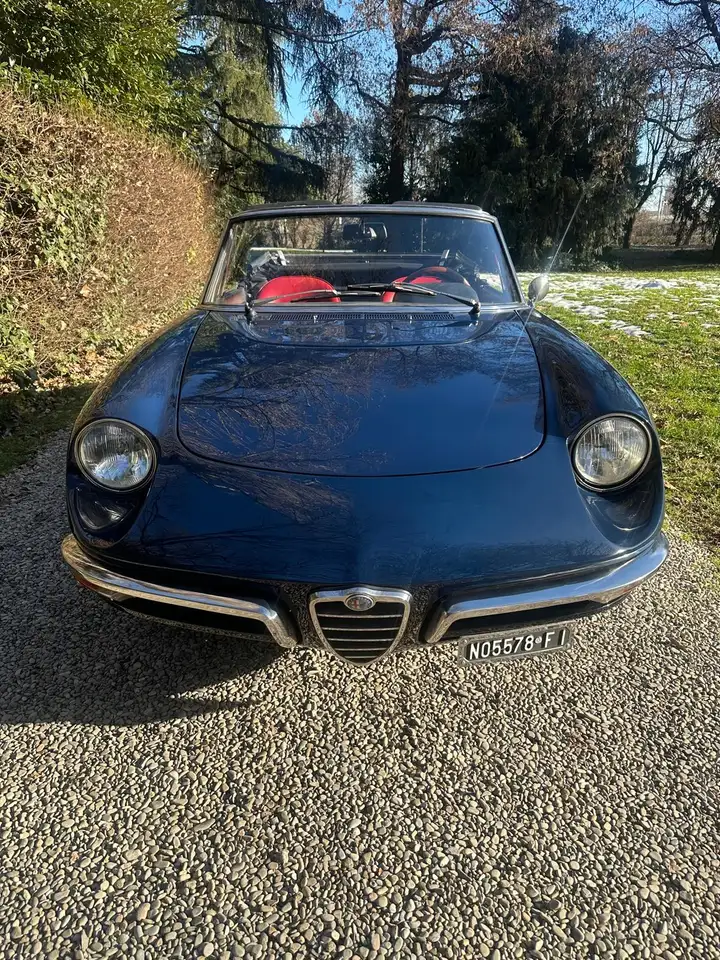 Alfa Romeo Spider 1300 Junior “osso Di Seppia”, foto 2