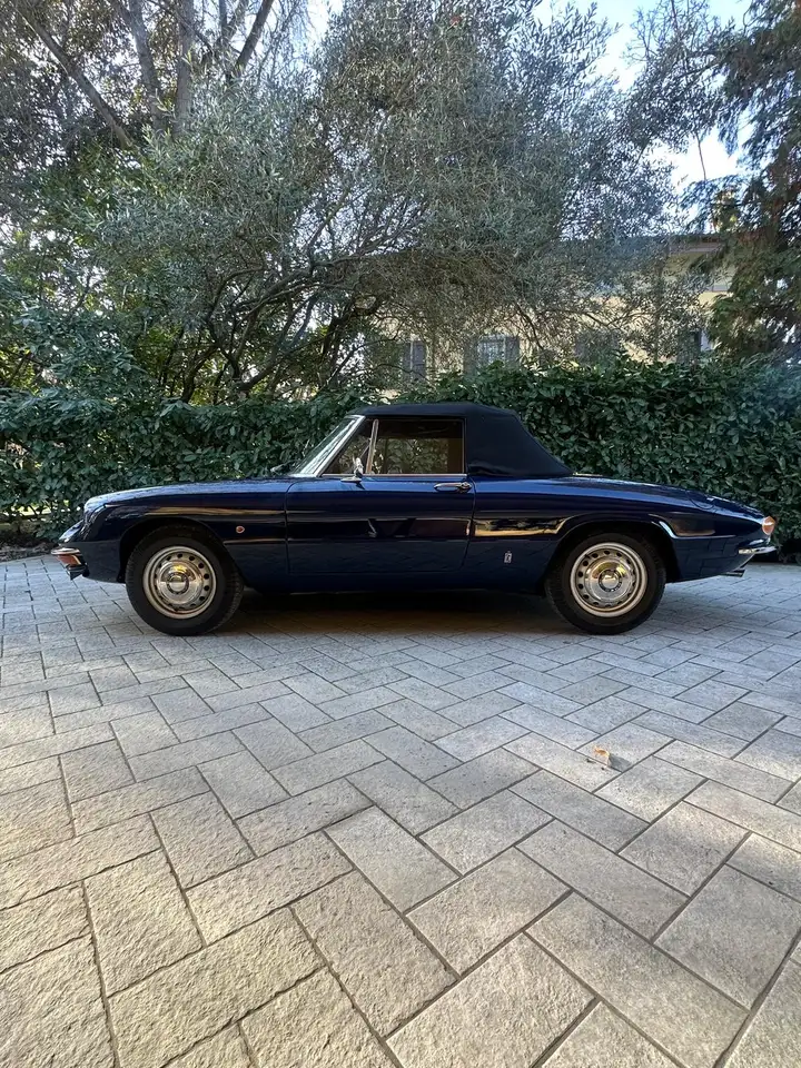 Alfa Romeo Spider 1300 Junior “osso Di Seppia”, foto 12