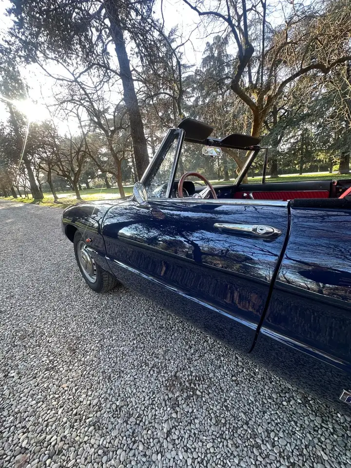 Alfa Romeo Spider 1300 Junior “osso Di Seppia”, foto 5