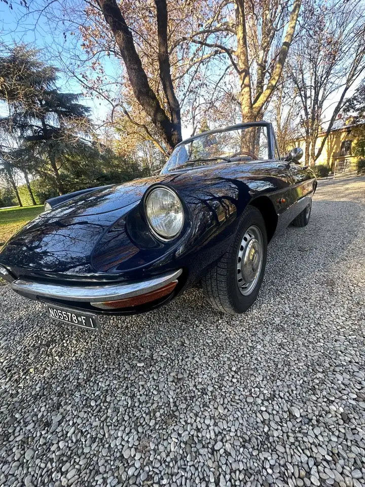 Alfa Romeo Spider 1300 Junior “osso Di Seppia”, foto 7