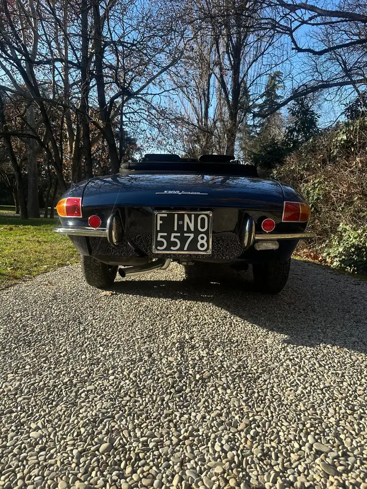 Alfa Romeo Spider 1300 Junior “osso Di Seppia”, foto 6