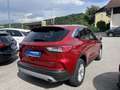 Ford Kuga Titanium X FHEV Rot - thumbnail 6