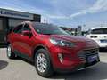 Ford Kuga Titanium X FHEV Rot - thumbnail 1