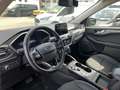 Ford Kuga Titanium X FHEV Rot - thumbnail 7
