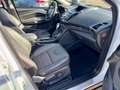 Ford Kuga 2.0 TDCI Aut. 4x4 Titanium PANO KAMERA NAVI Weiß - thumbnail 12
