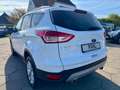 Ford Kuga 2.0 TDCI Aut. 4x4 Titanium PANO KAMERA NAVI Weiß - thumbnail 8