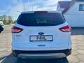 Ford Kuga 2.0 TDCI Aut. 4x4 Titanium PANO KAMERA NAVI Weiß - thumbnail 6
