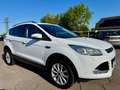 Ford Kuga 2.0 TDCI Aut. 4x4 Titanium PANO KAMERA NAVI Weiß - thumbnail 4
