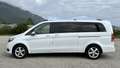Mercedes-Benz V 250 Classe V Extra-Long 250 d 4Matic 7G-TRONIC PLUS Fascination Blanc - thumbnail 17