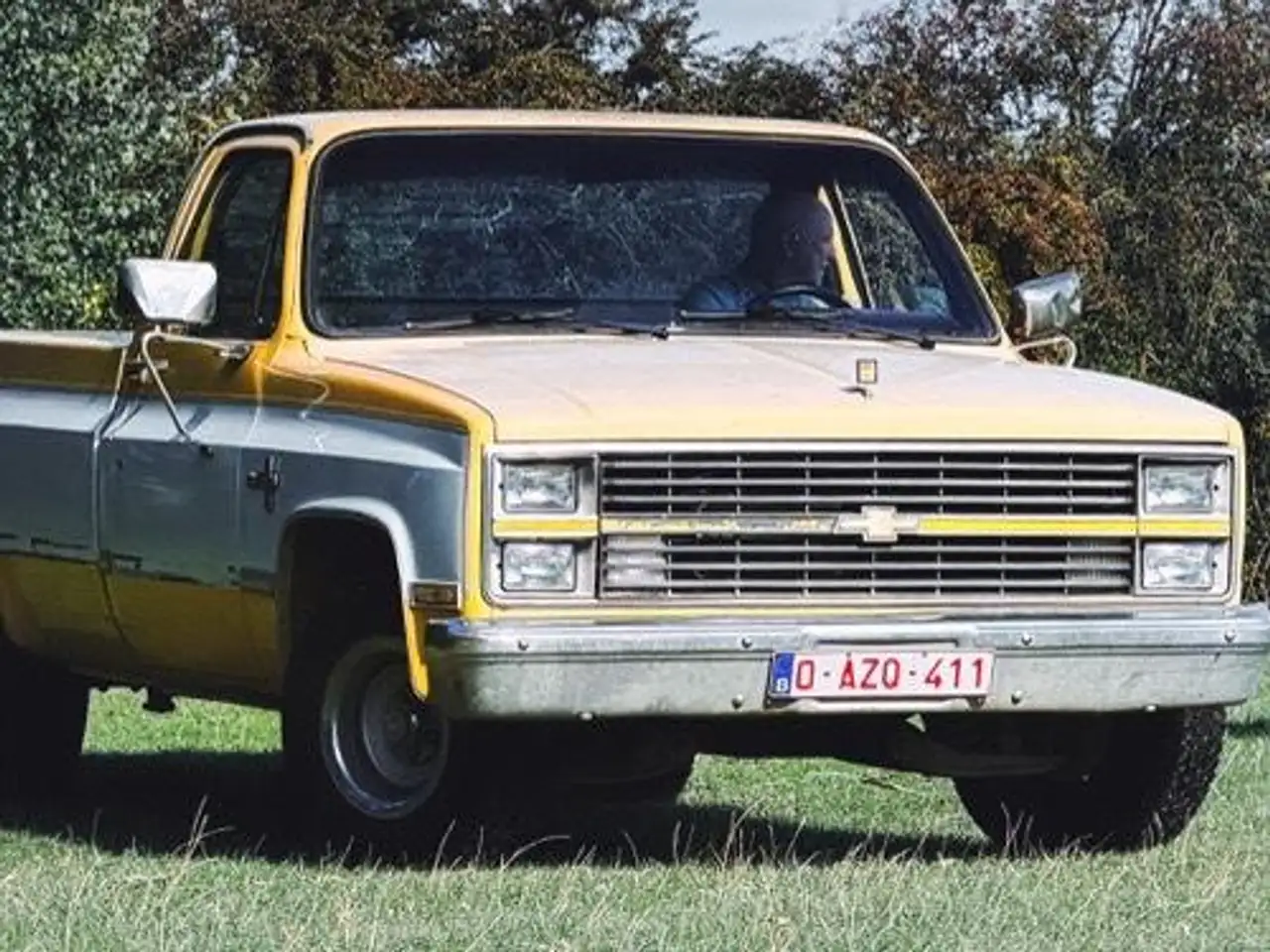 Chevrolet Silverado C10 -Documents Belges-, foto 6